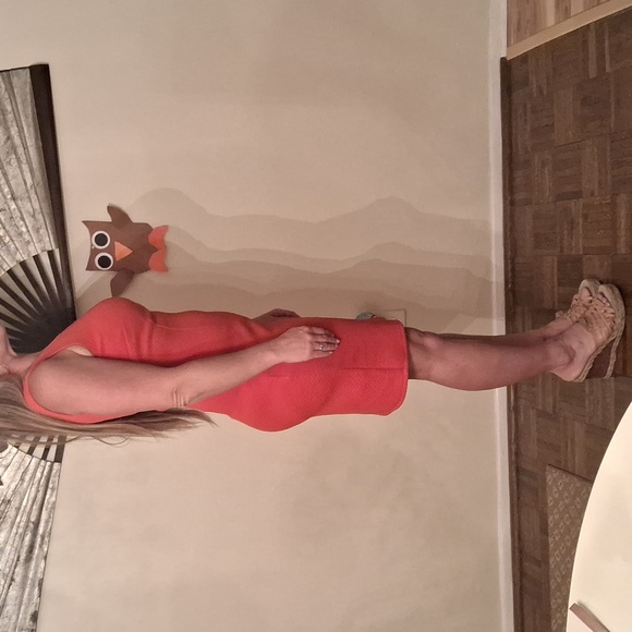 NWOT,Sleek & Sexy, Burnt Orange/Rust Midi Dress - Picture 2 of 12